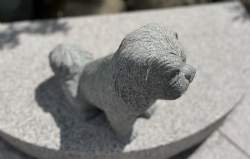 hund gråsort granit