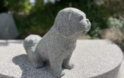 granit hund gråsort