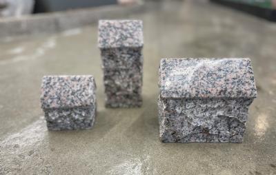 salg af Huse med poleret tag