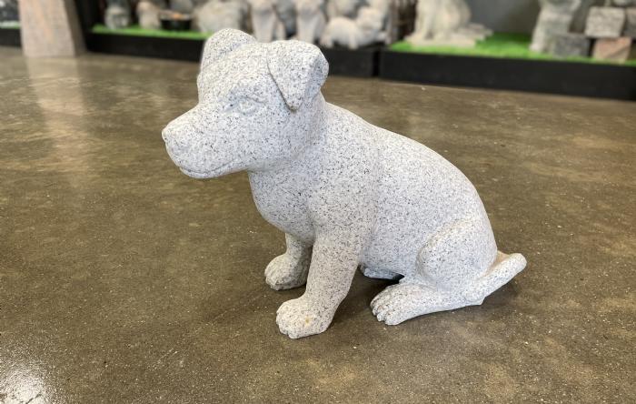 salg af Jack Russel hund