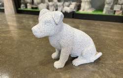 Jack Russel