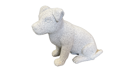 Jack Russel hund