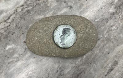 salg af Strandsten med stjernetegn glas