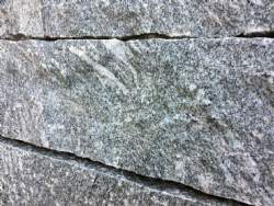 Kantsten indisk grå kuppam granit