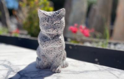 salg af Kat som slikker pote H 20