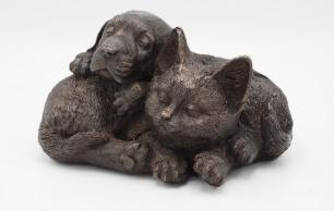 Kattekilling og hundehvalp sover
