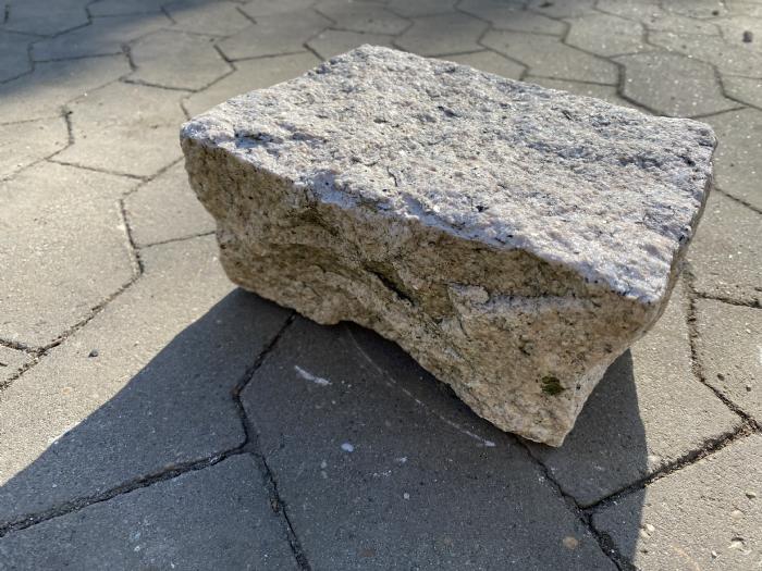 salg af 10 stk. Klosterhvede rosa 10 cm