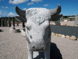 gigantisk ko i granit