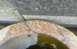 BLomster fontæne rosa granit vandsten