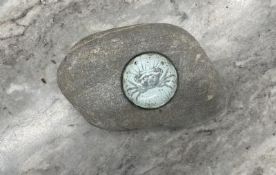 salg af Strandsten med stjernetegn glas