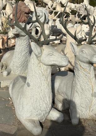 Kronhjort grå granit