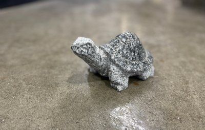 Landskildpadde gråsort granit