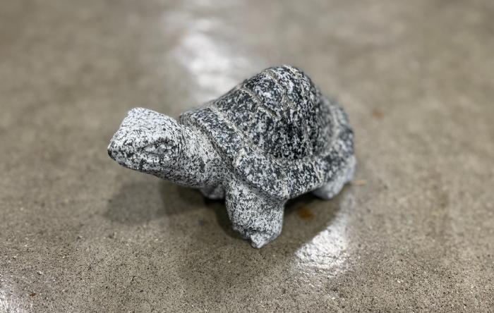 salg af Landskildpadde gråsort granit