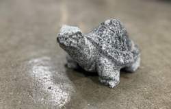 landskildpadde gråsort