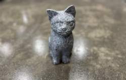 Stenkat i grå granit