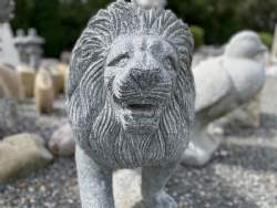 leo 5