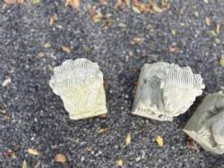 løvepar kinesisk sandsten