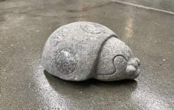 mariehøne rosa granit