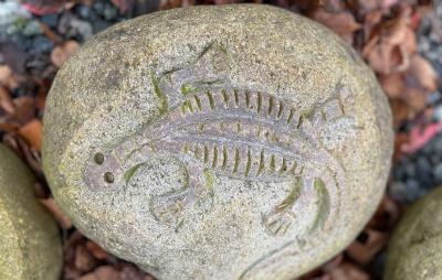 salg af Natursten fossiler ass L25-30 cm