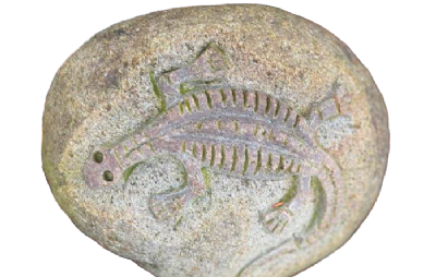 salg af Natursten fossiler L25-30 cm