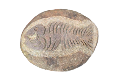 salg af Natursten fossiler L25-30 cm