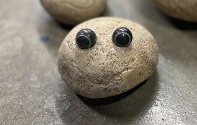 salg af Natursten Tudse L 10-12 cm