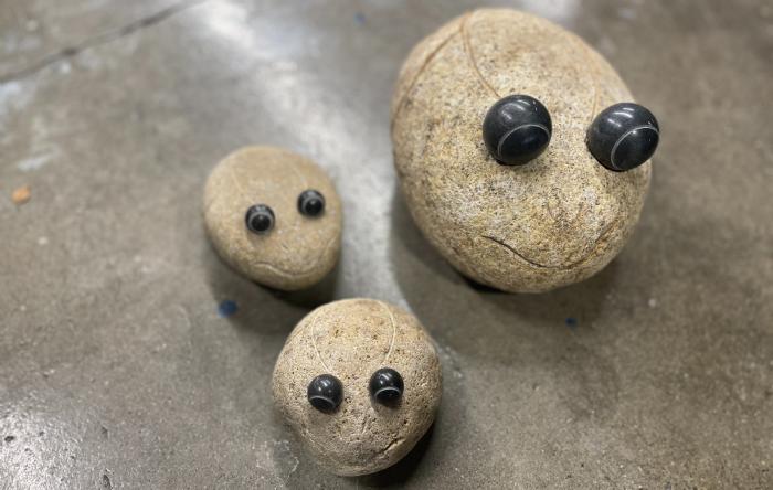 salg af Tudse med sorte øjne