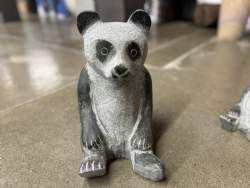 panda
