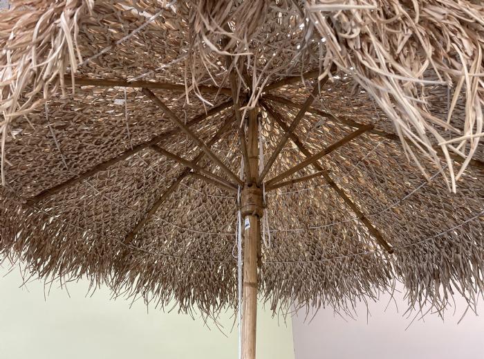 salg af Parasol palmeblade