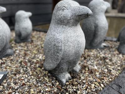 salg af Pingvin gråsort