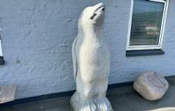 pingvin lysgrå granit