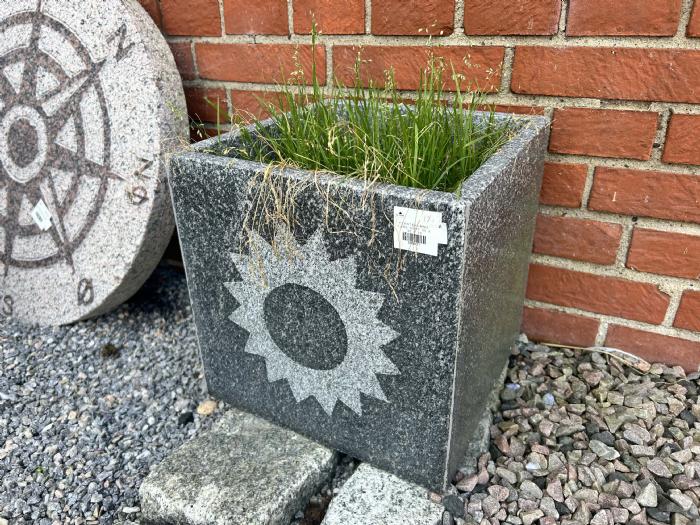 salg af Plantekumme sol gråsort