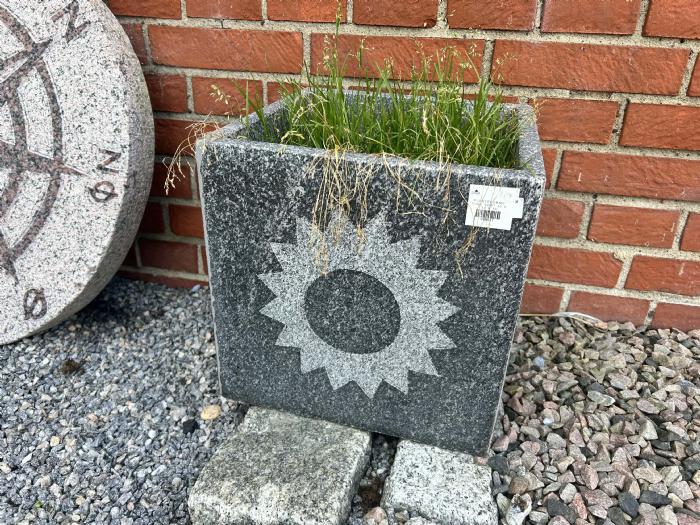 salg af Plantekumme sol gråsort