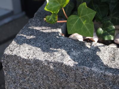 Plantekumme gråsort granit