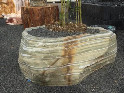 salg af Plantetrug Silver Shadow