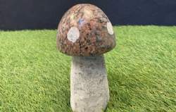 rød paddehat granit