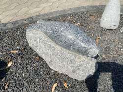 poleret sæl på granit sokkel