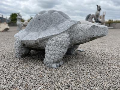 salg af Skildpadde gråsort gigant
