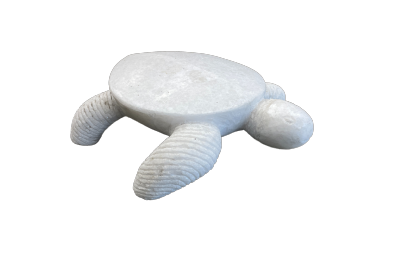 salg af Skildpadde indisk lille