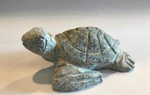 Hav skildpadde granit