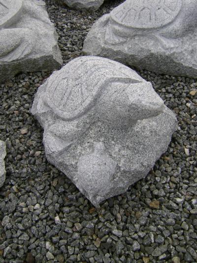 salg af Skildpadde med unge L45