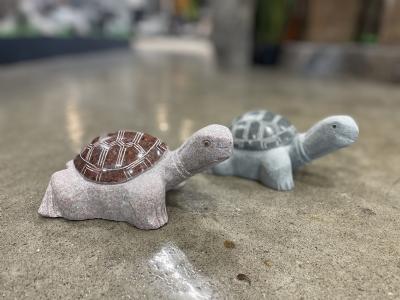 salg af Skildpadde rød/grøn