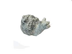 Lille snegl i grå poleret granit