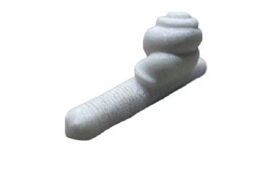 salg af Snegl indisk 20 - 30 cm nr. 2
