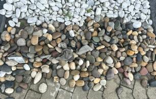 Søsten naturmix udstilling