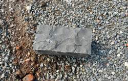 palisadesten sort basalt