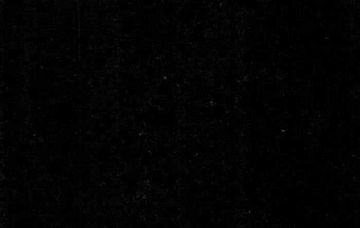 salg af Sort poleret basalt flise