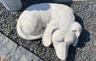Sovende hund gul granit