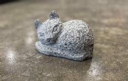 sovende kat i grå granit