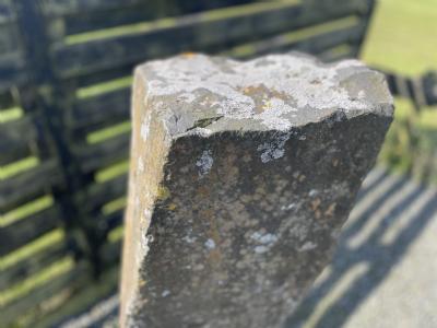 salg af Stick basalt søjler H40 - 150 cm